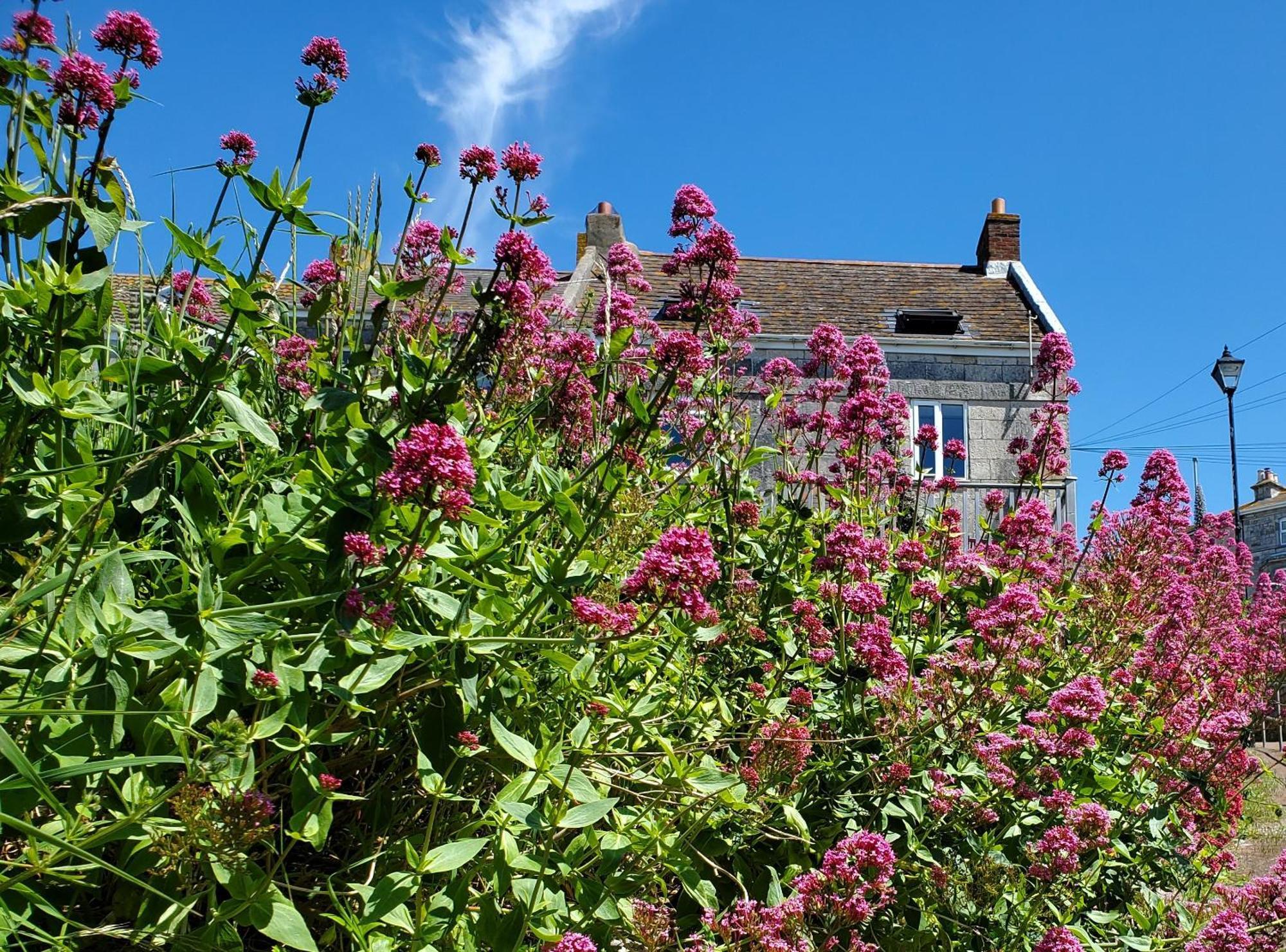 Sea View Cottage 포틀랜드 외부 사진
